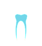 Dental Root Canals